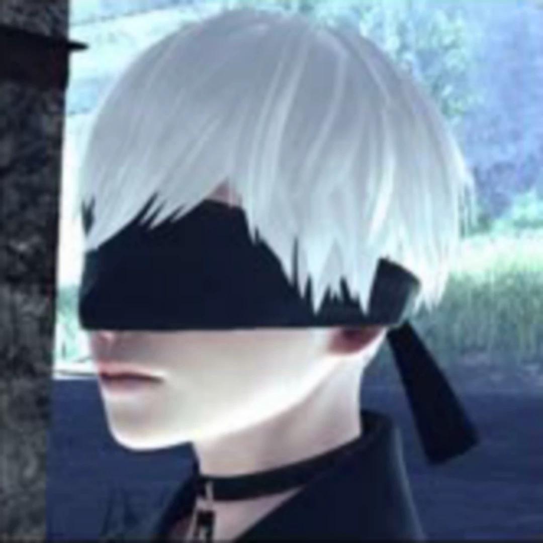 9S thumbnail