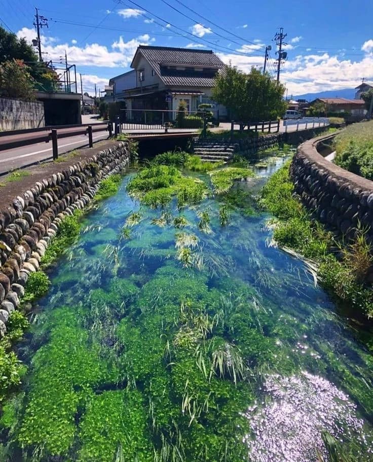Japan Village thumbnail