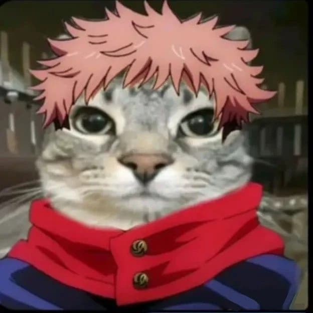 Itadori cat thumbnail