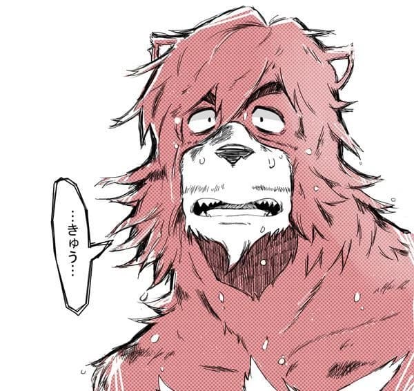 •°•° Kumatetsu °•°• thumbnail
