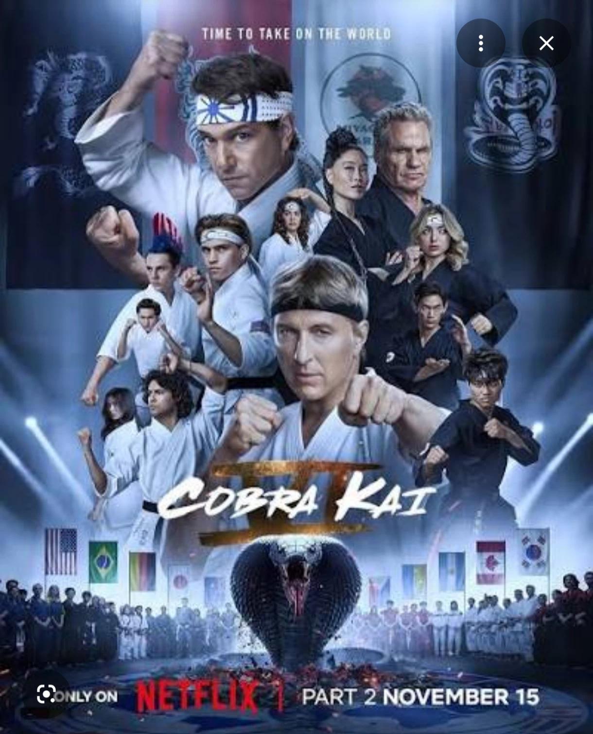 Cobra Kai thumbnail