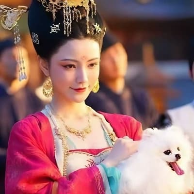 Concubine Wei thumbnail