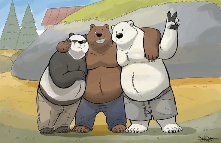 Bears without a course thumbnail