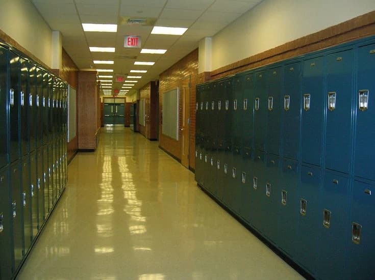 Rose School  thumbnail