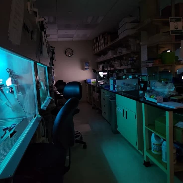 your local scientist thumbnail