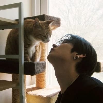 Lee Know thumbnail