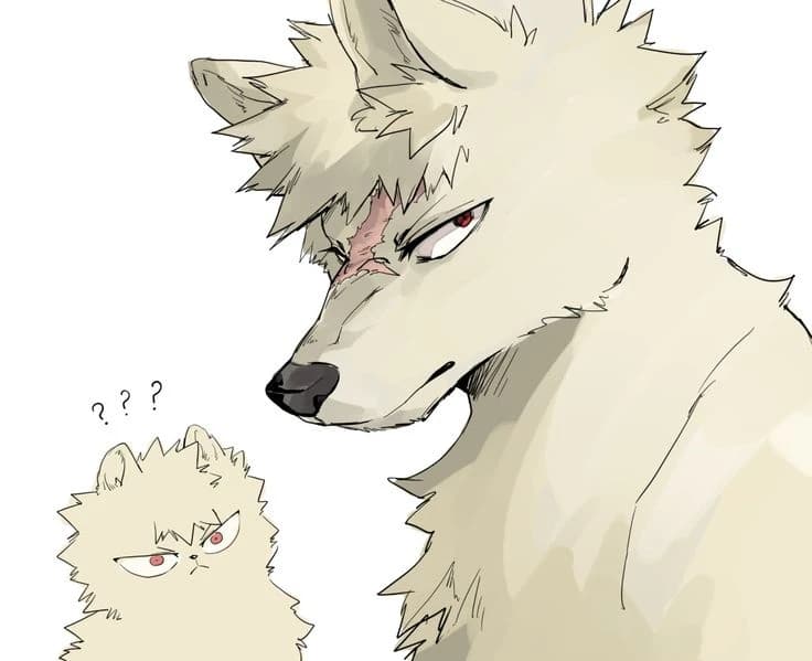 Katsuki Bakugo (As a wolf) thumbnail