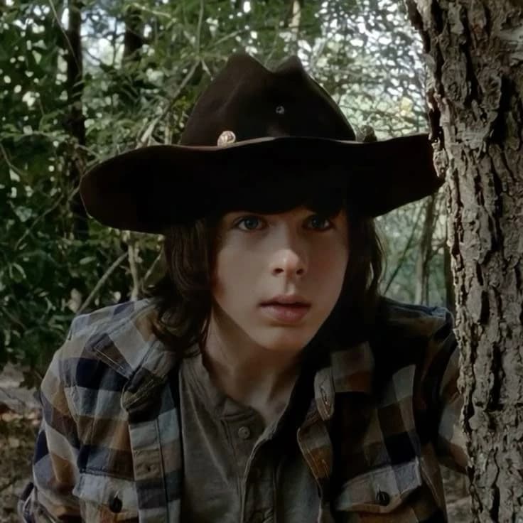 Carl grimes thumbnail