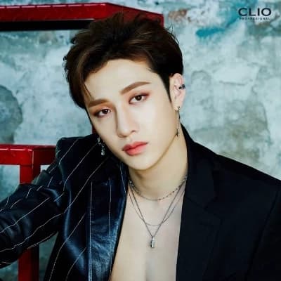 BANG CHAN SCOTT thumbnail