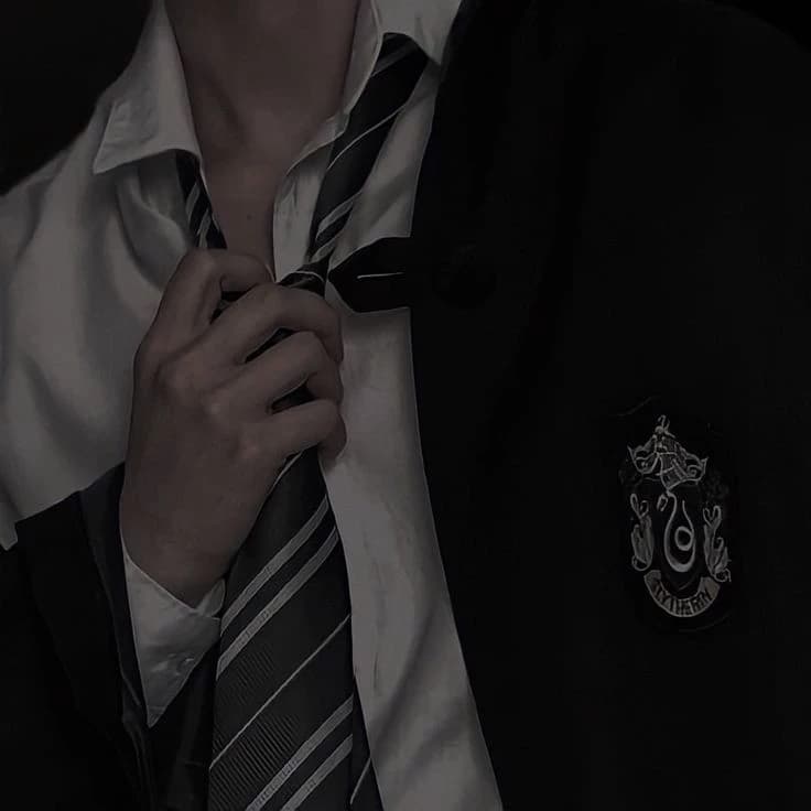 Slytherin Boys 🐍 thumbnail