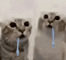 drooling cat thumbnail