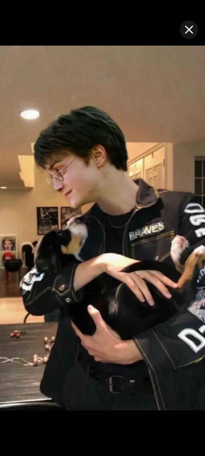 Harry Potter × Voldemort's daughter thumbnail