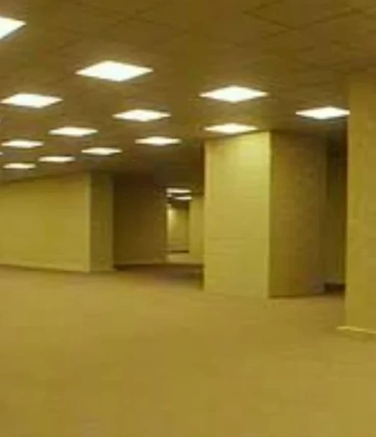 Backrooms (ENTITY POV) thumbnail