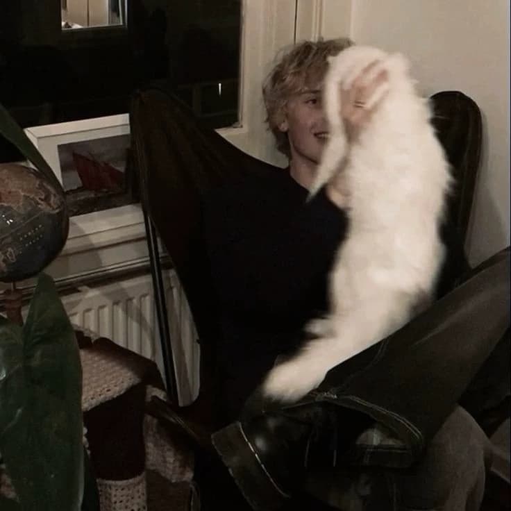 vampire-cat thumbnail
