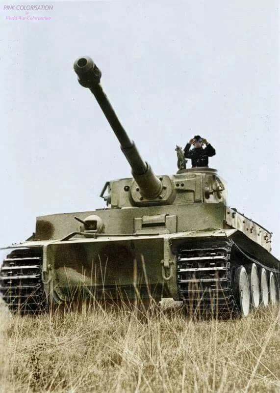 Tiger 1 thumbnail
