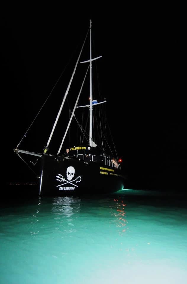 Sea Shepherds.  thumbnail
