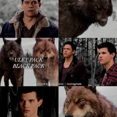 Twilight saga new moon  thumbnail