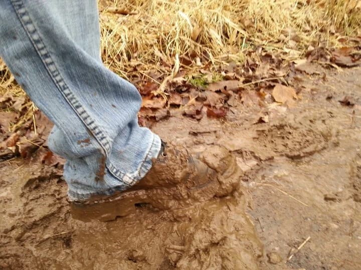 Fuzzy Mud-The book thumbnail