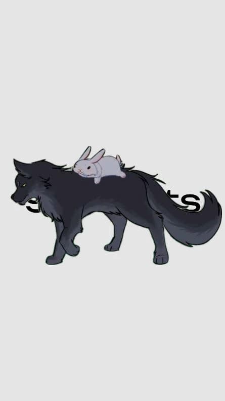 ••{Yin and Yang, the couple}•• thumbnail