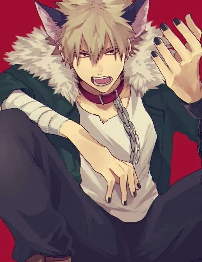 Bakugo Katsuki. El lobo. thumbnail