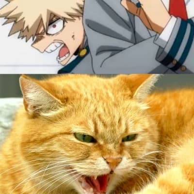 Katsuki Bakugo (Kacchan / Kazinho) thumbnail