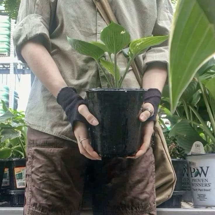 💕\_johan your gardener \_bl thumbnail