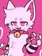 noma thumbnail