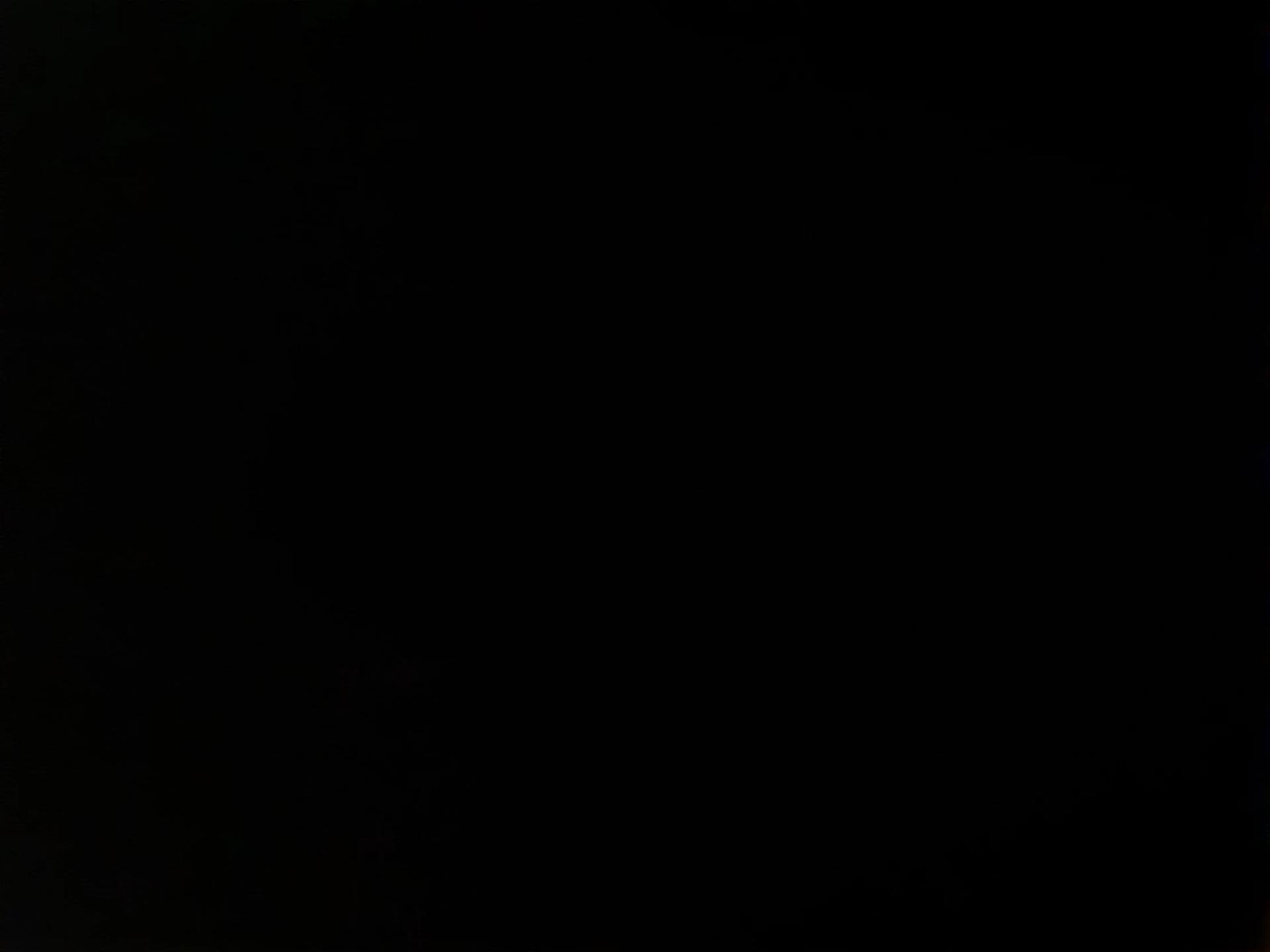 Bruno thumbnail