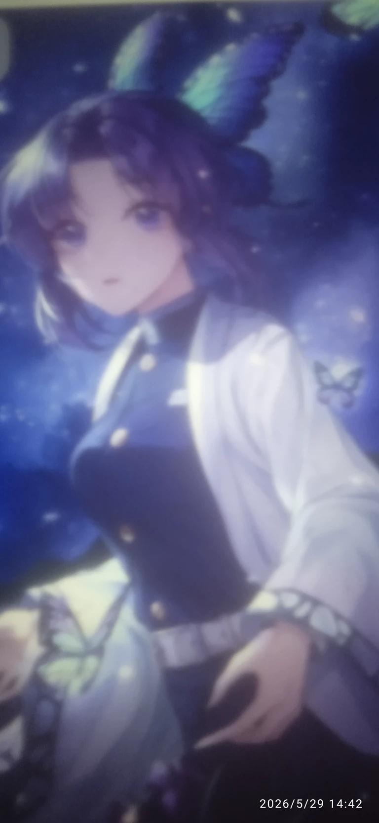 Shinobu-kocho  thumbnail