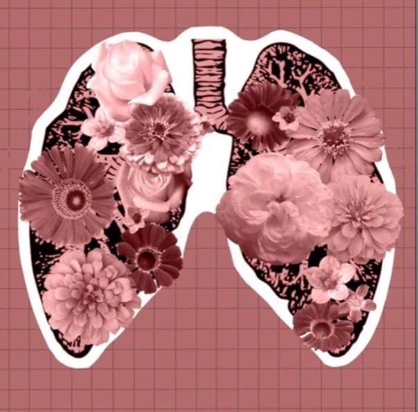 MHA – Hanahaki Disease thumbnail