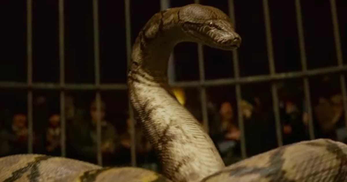 HP Parselmouth thumbnail