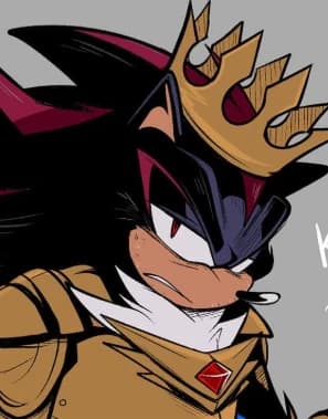 Shadow The Hedgehog - King thumbnail