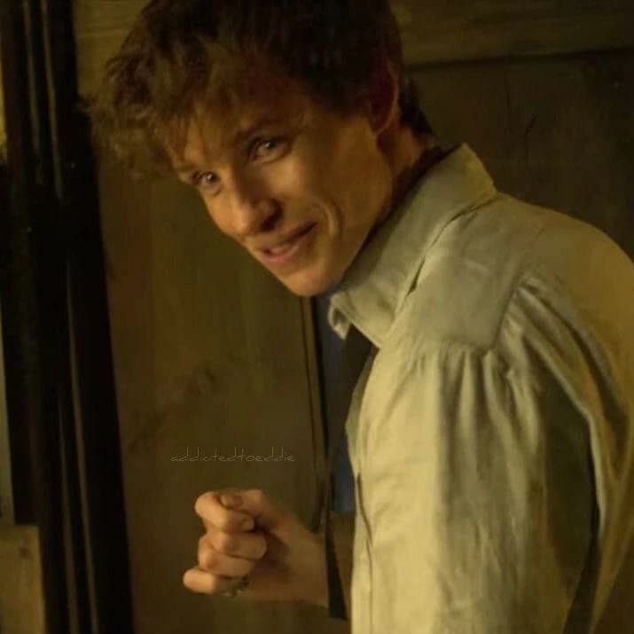 Newt Scamander thumbnail