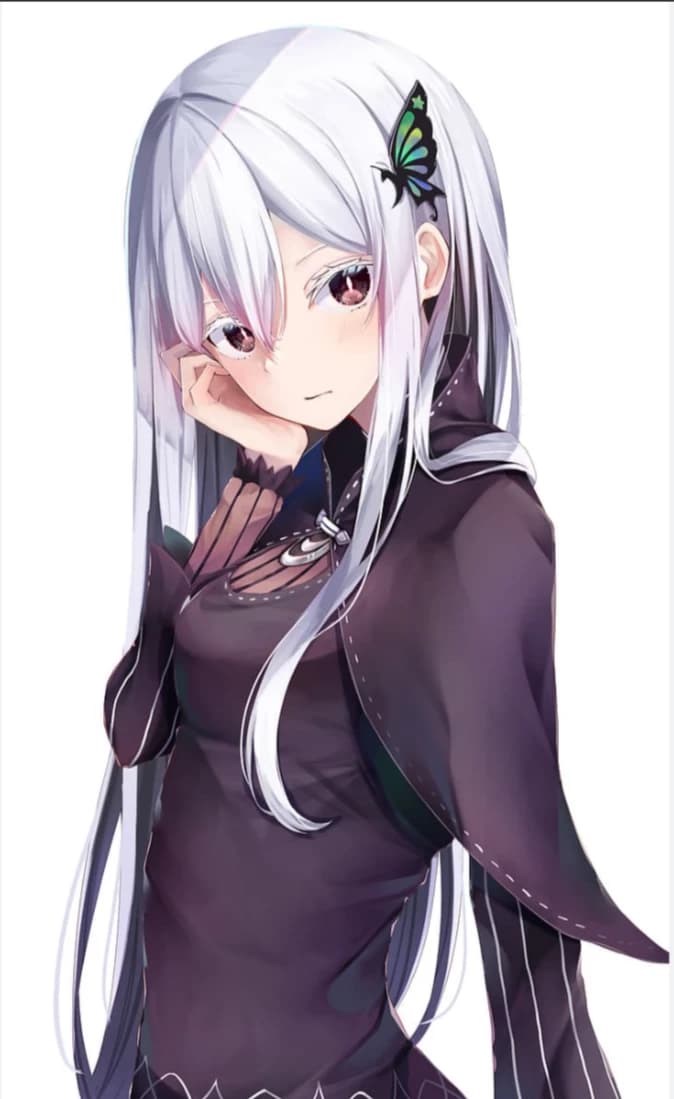 Echidna thumbnail