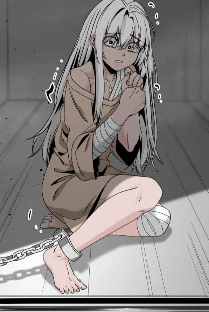 Shiro thumbnail