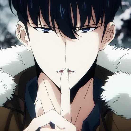 Sung Jin woo  thumbnail