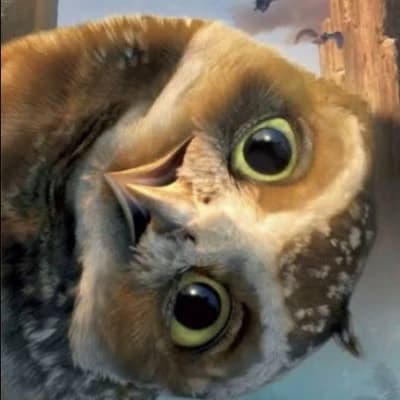 Legend of the Guardians: The Owls of Ga'Hoole thumbnail