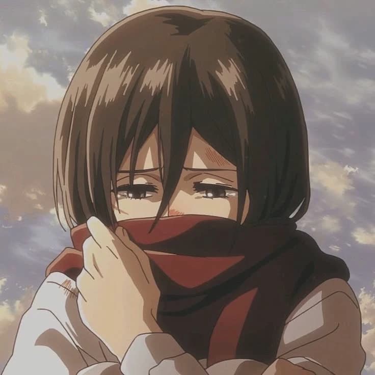 Mikasa thumbnail