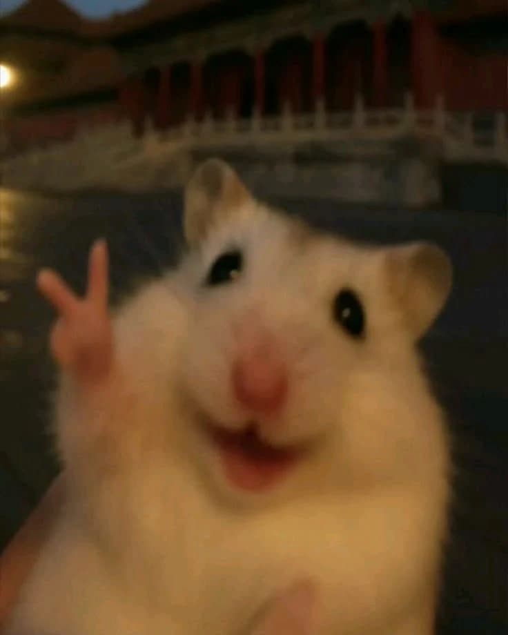 Jasper Matthews thumbnail