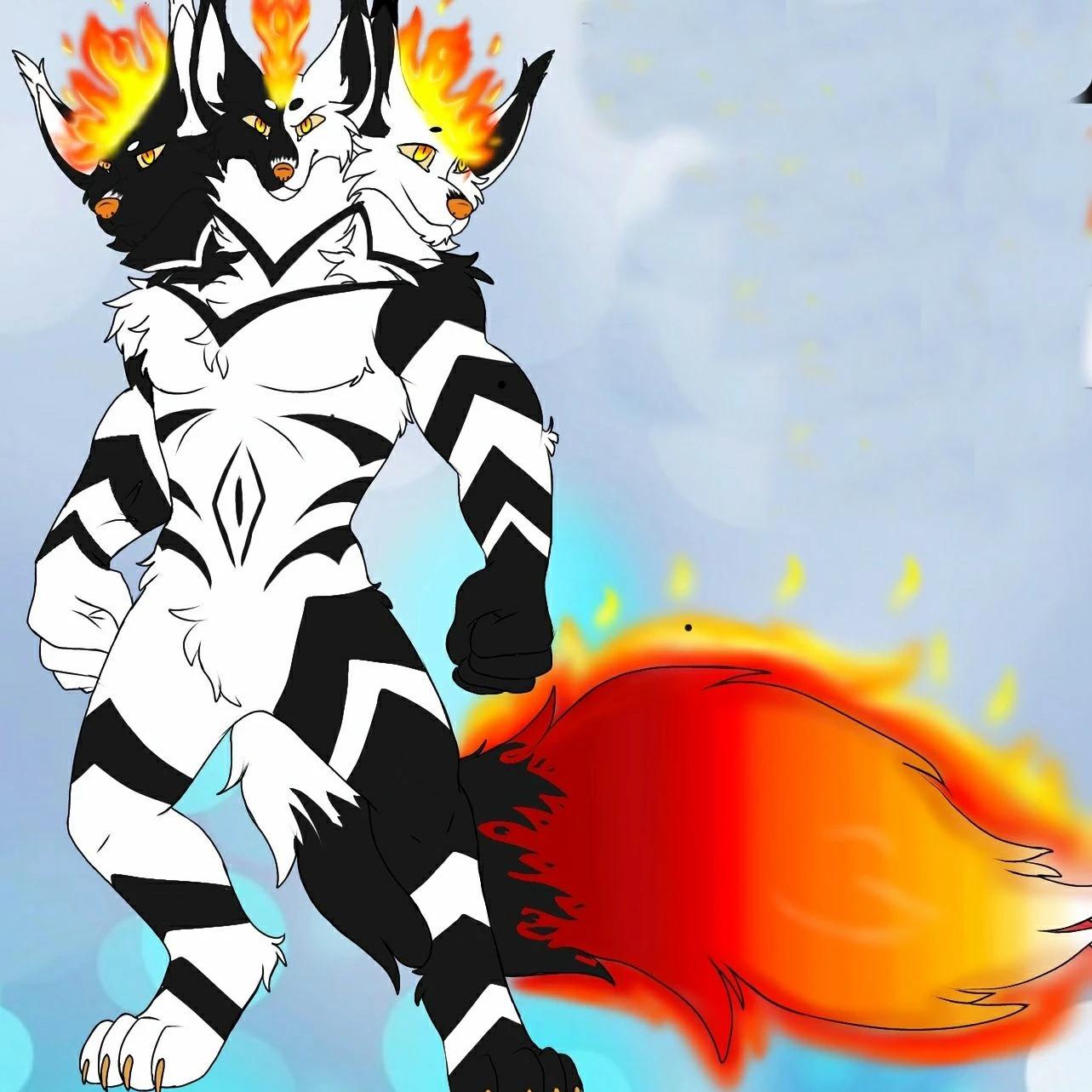 Ziv thumbnail