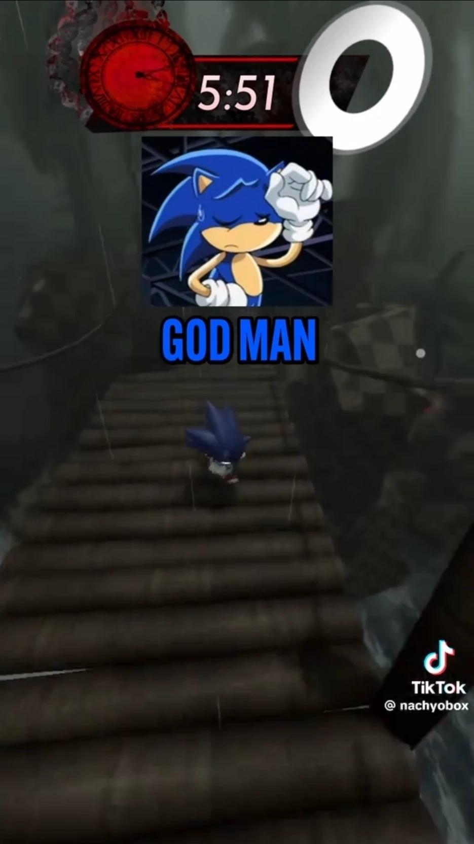 Sonic Team (it only had Cream, Sonic, Knuckles, and Blaze, but in Roblox) thumbnail