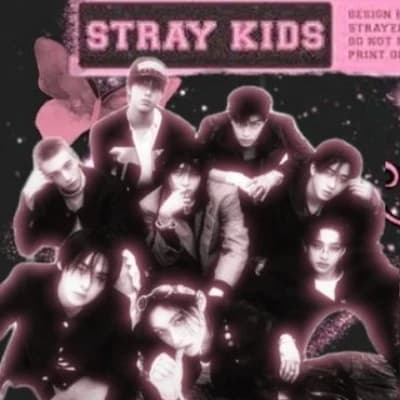 Stray kids, se convirtieron en animales! thumbnail