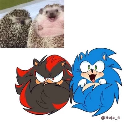  (Transformed) thumbnail