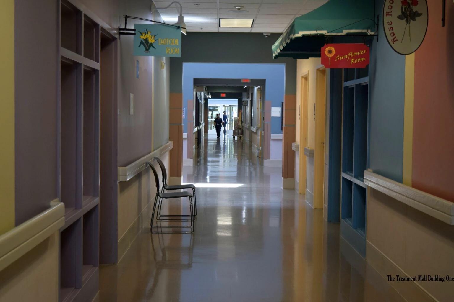 The psychiatric hospital. thumbnail
