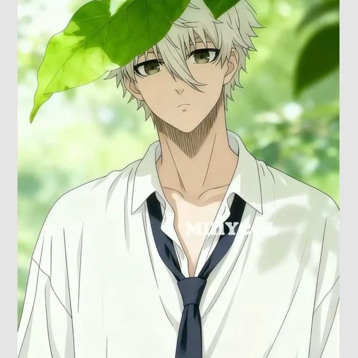 Naoya thumbnail