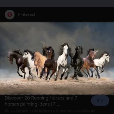 The Mustangs: Wild Horses. Sportsv thumbnail