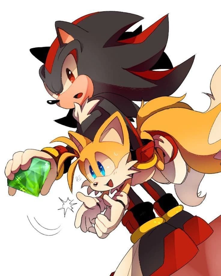 Shails thumbnail
