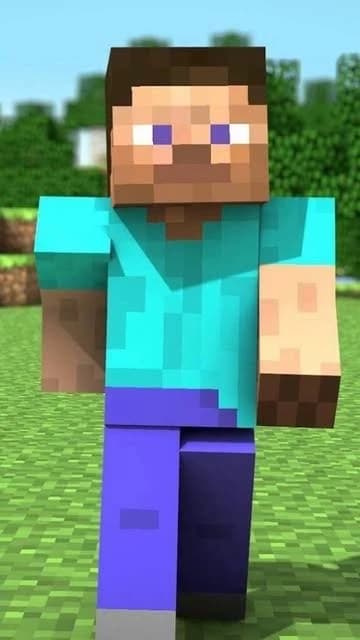 Steve thumbnail