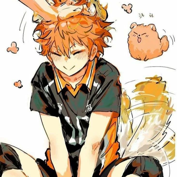 Hinata Shoyo thumbnail