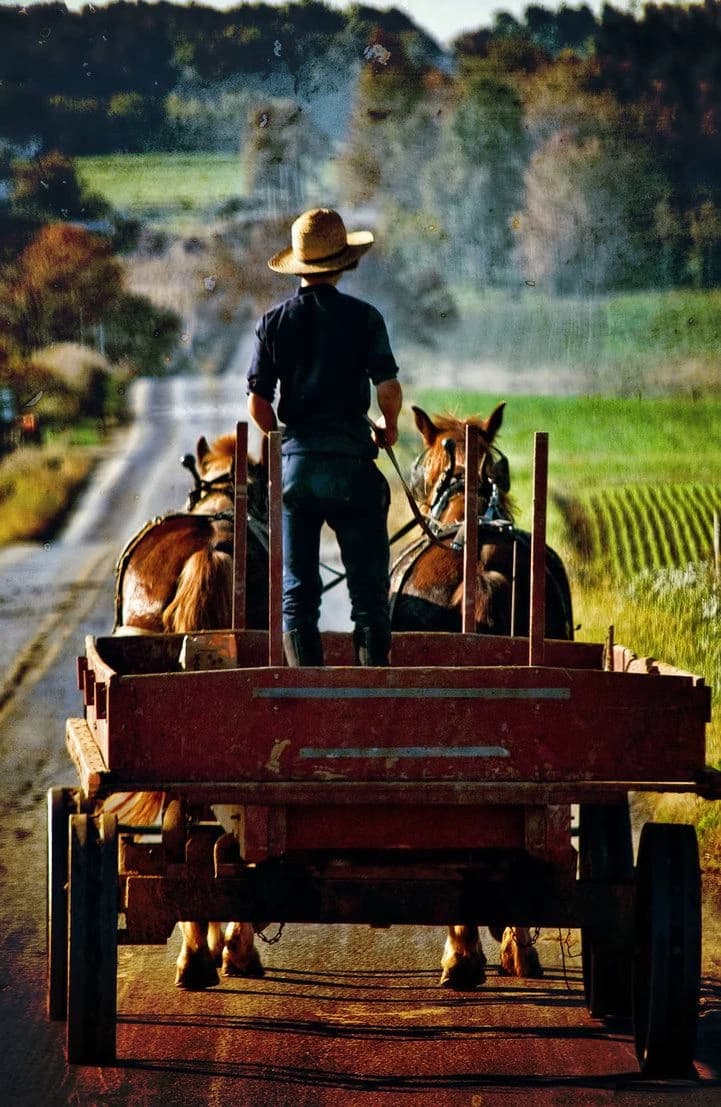 Elijah Fischer (amish) thumbnail